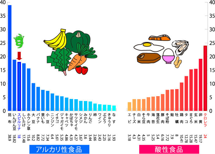 スピルリナはアルカリ性食品です